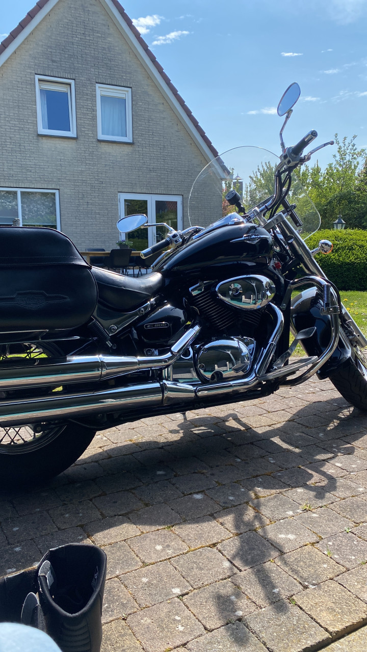 Suzuki c800 intruder