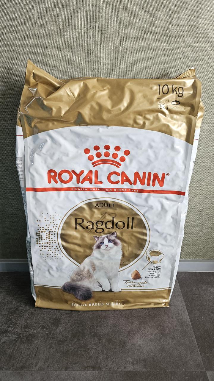 Royal Canin Ragdoll 10 kg kattenbrokken