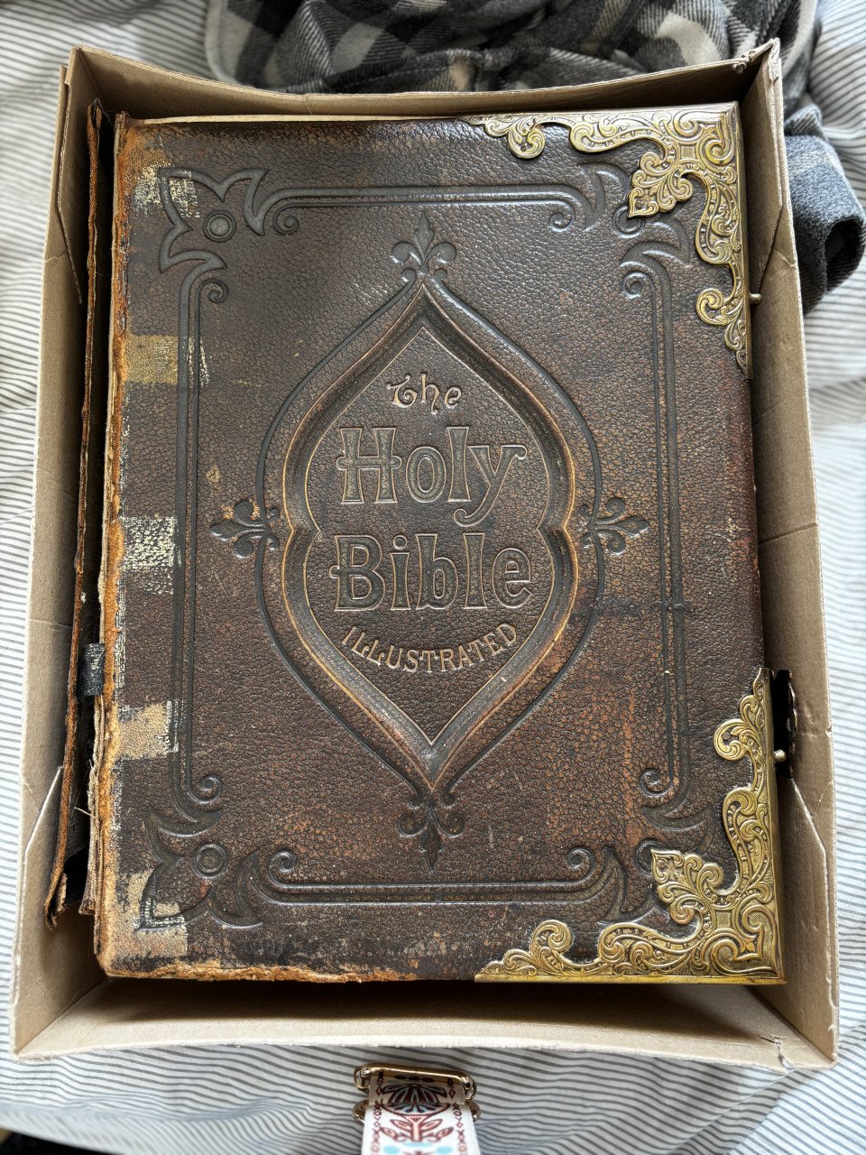 Holy bible