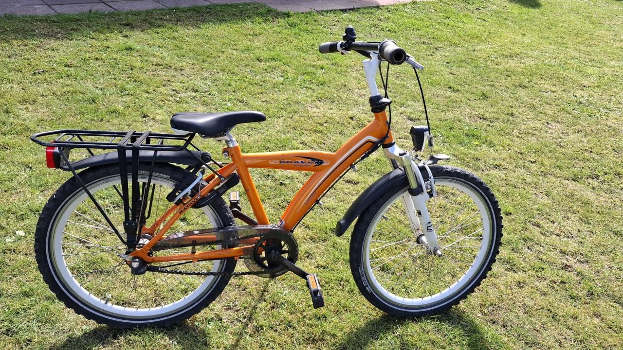 Batavus Snake 22 inch