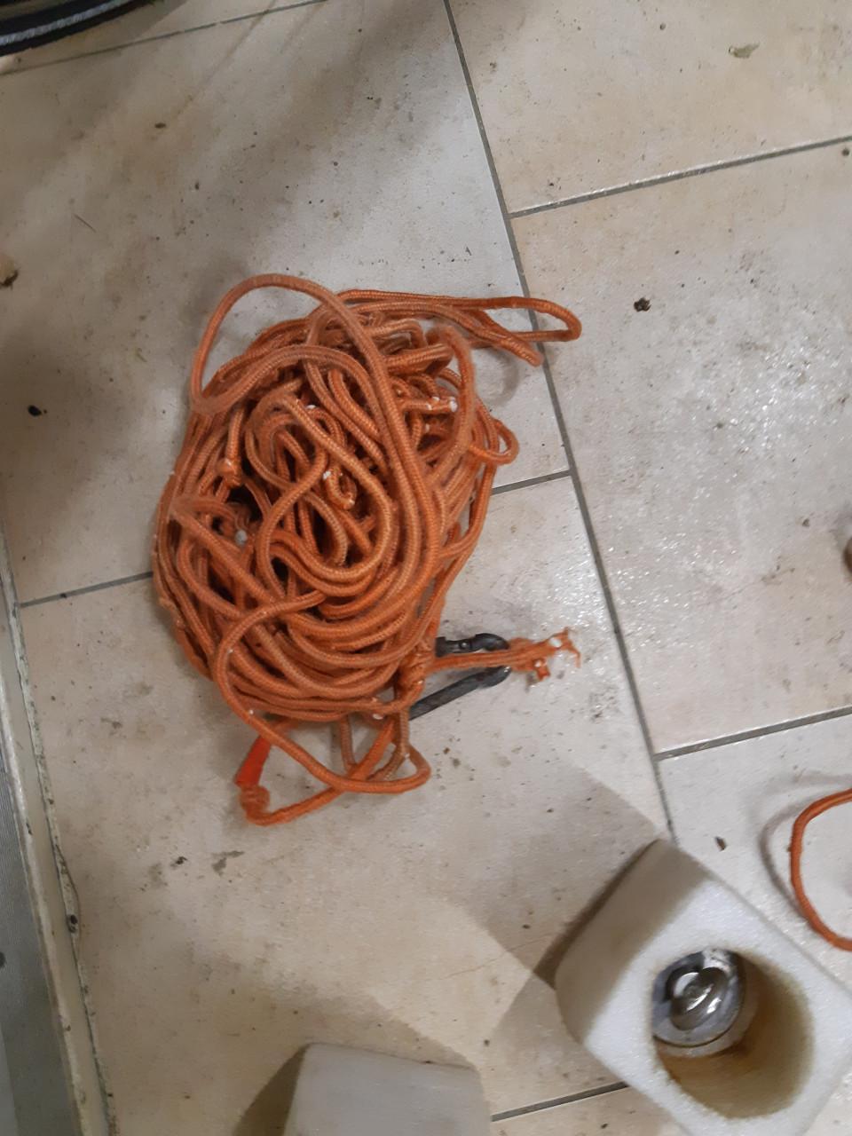 Magneetvissen