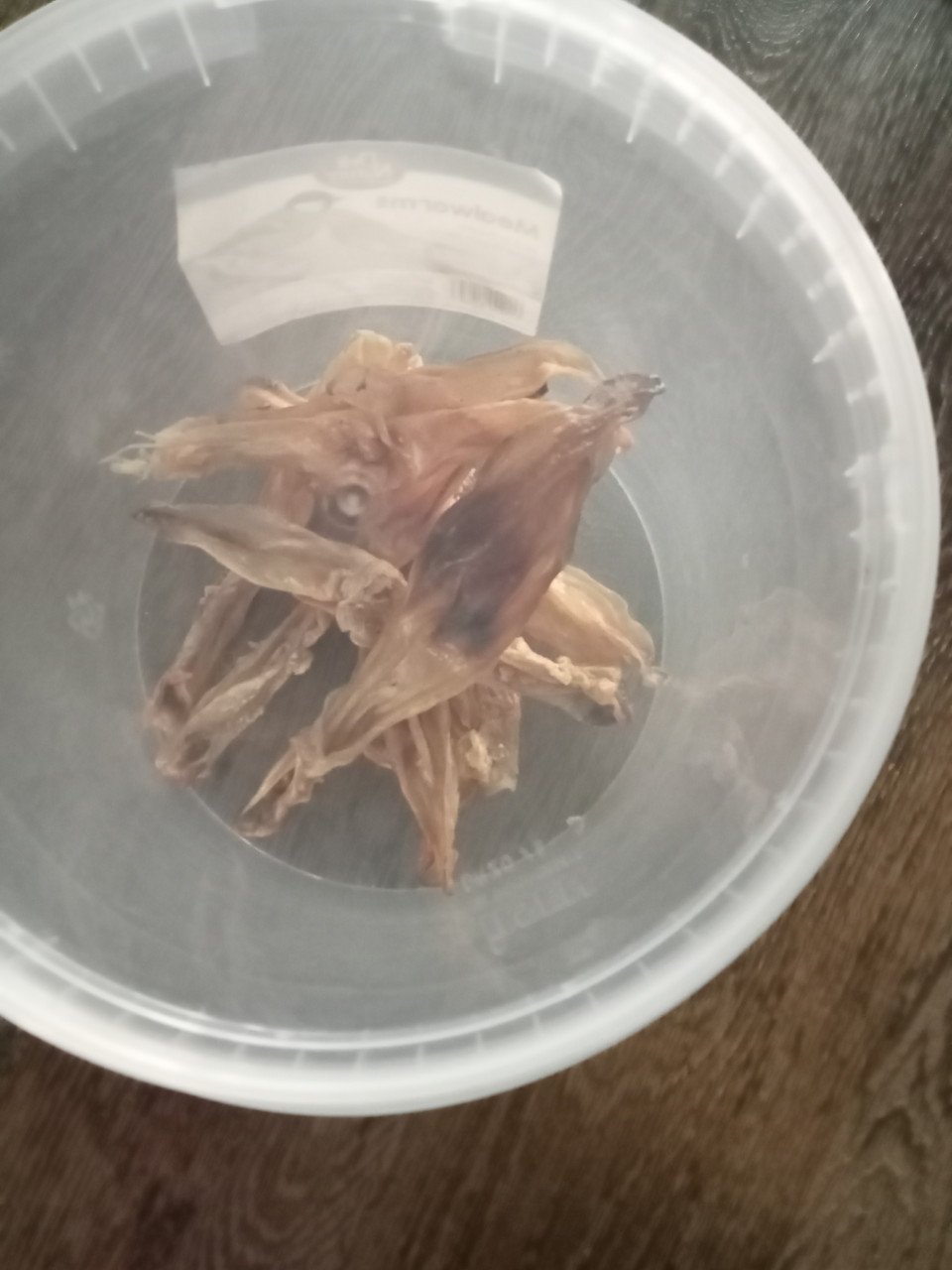 Konijnen oren voor de hond