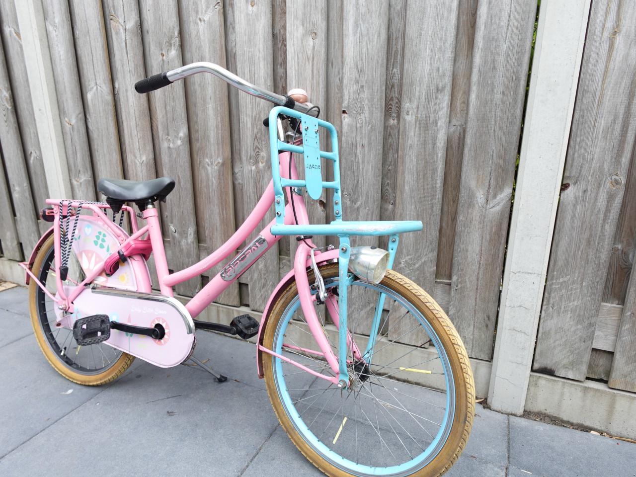 🚲 Popal Meisjesfiets – 22 inch – Transportmodel – Roze