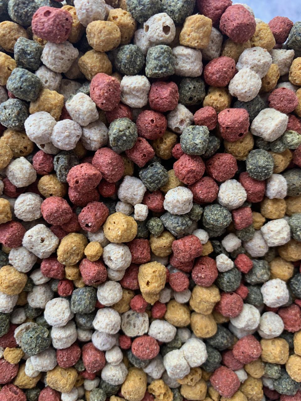 Nakiche Koi Basisvoer 2.5kg 5 liter goedkoop goed basisvoer