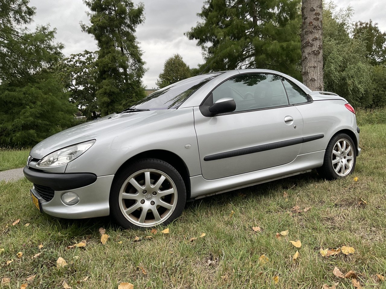 Peugeot 206 Cabrio | CC 2.0 16V
