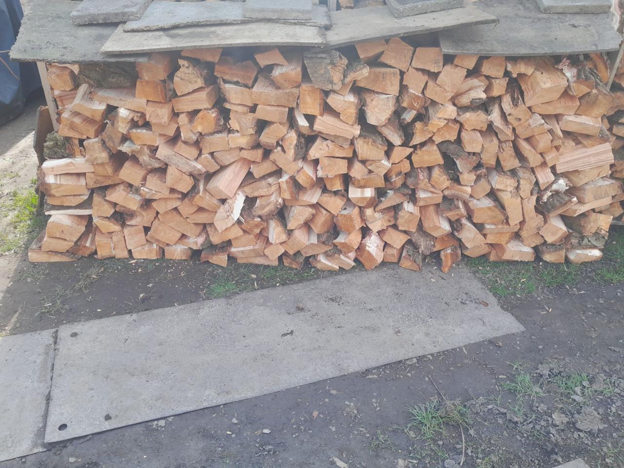 Wilgenhout - grote stukken.