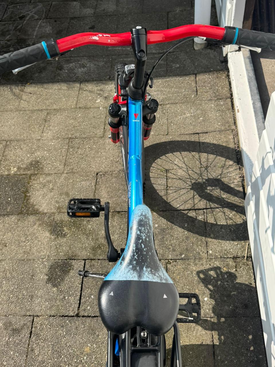 Stoere nette Loeki Snake 20 inch fiets