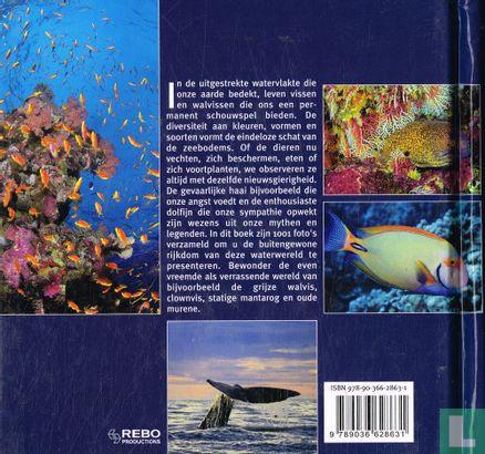 Boek: Vissen en Walvissen 1001 foto's  ZGAN.  1e druk 2010