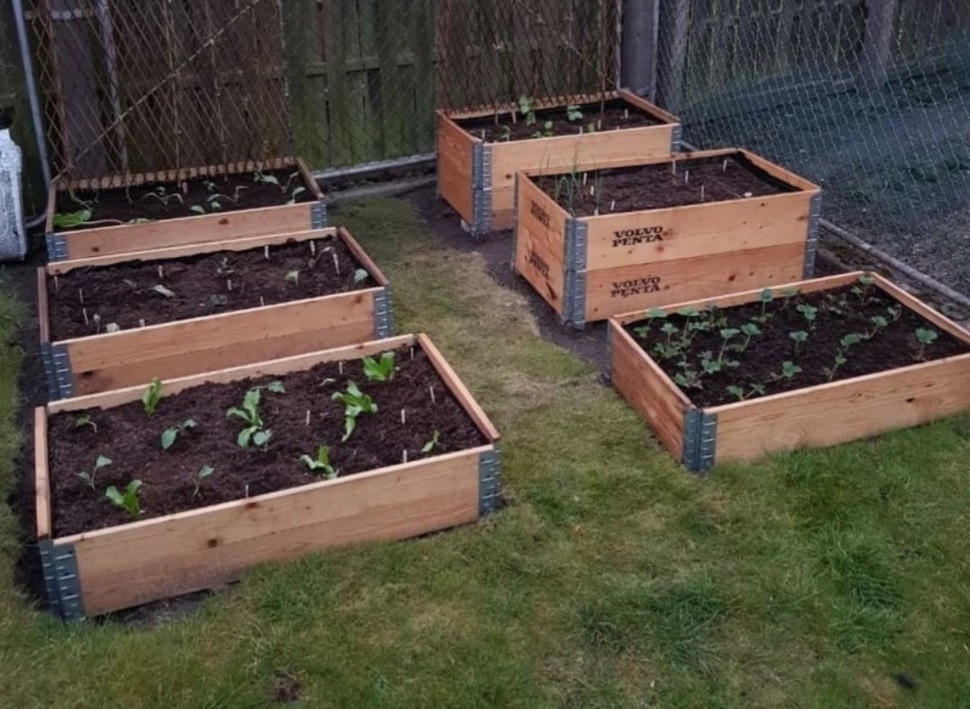 Pallet randen, palletranden, moestuin bakken.
