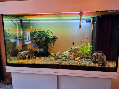 Aquarium