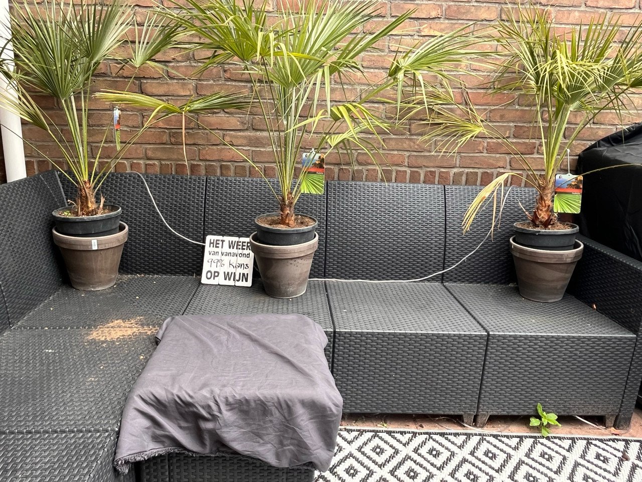 Zwarte Tuinbank 5 persoons