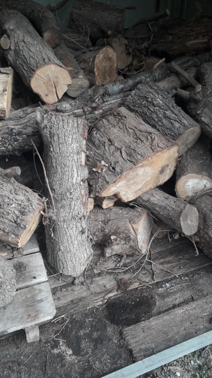 Openhaard hout, stammen, hout - rond 5M2