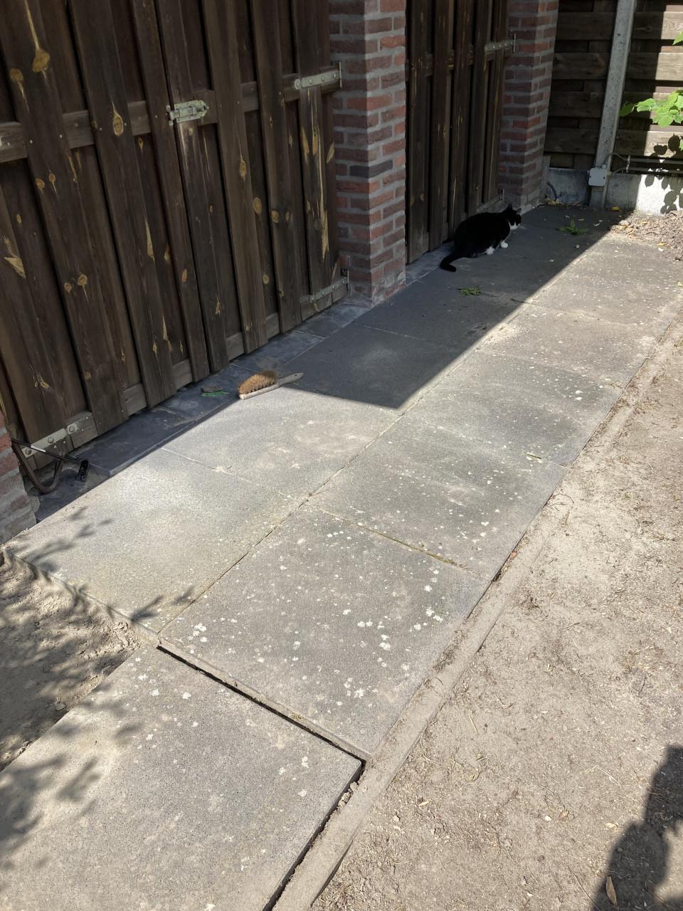 Tegels 59,5x59,5x6 cm