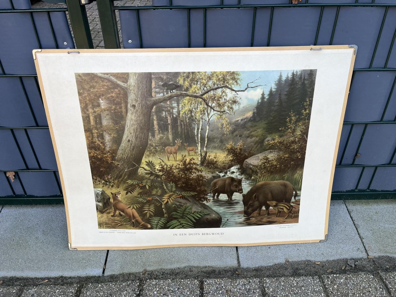 Schoolplaat in het Duitse bergwoud