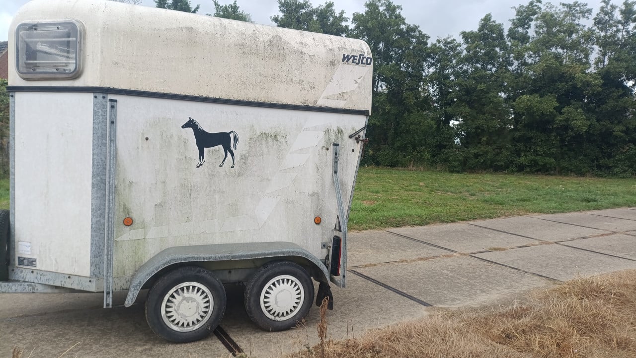 Paarden trailer wesco 1.5