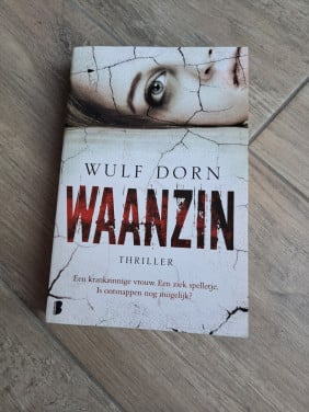 Thriller Waanzin van Wulf Dorn