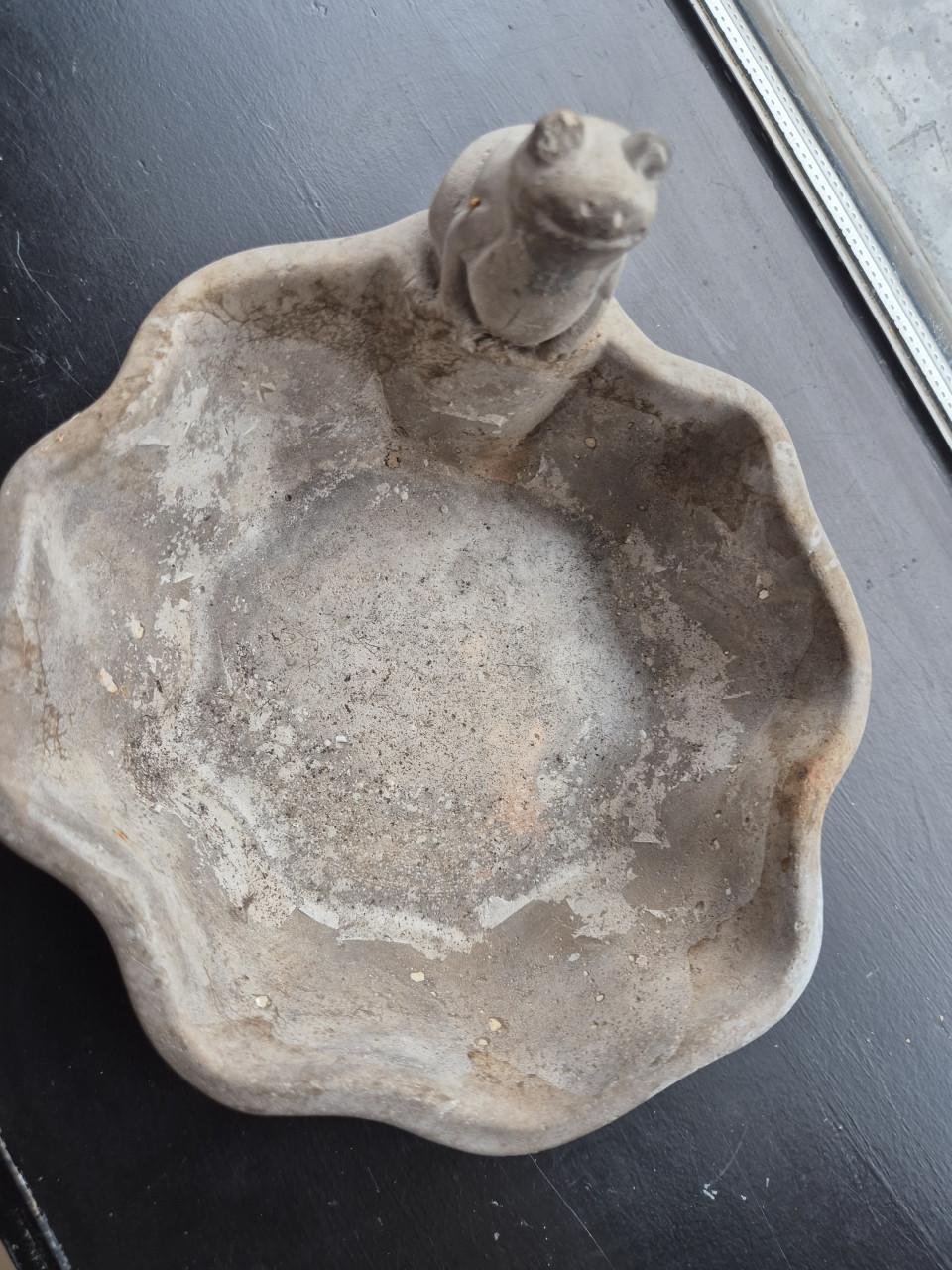 Plantenbakjes met kikker