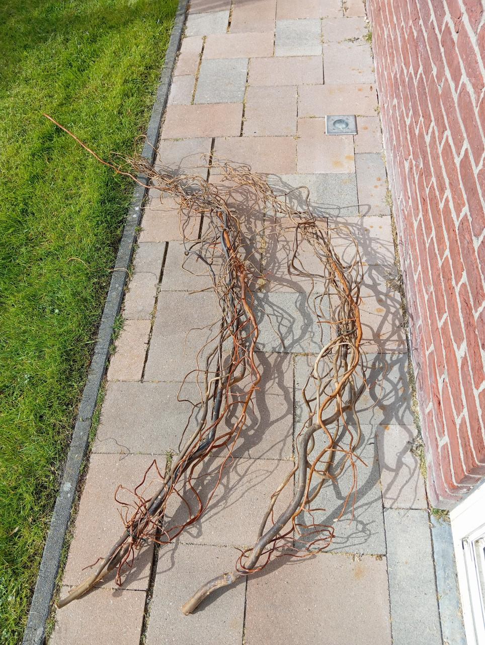 Kunstbloemen/ takken