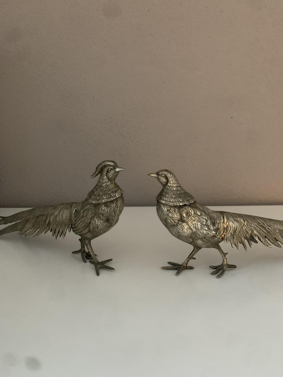 Verzilverde Fazanten