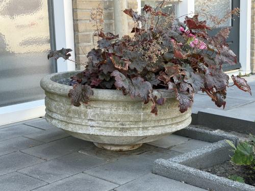 Vintage betonnen plantenschaal Ø 70 cm