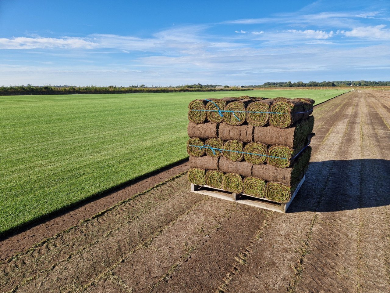 Actie! Graszoden van Zeeuwse bodem met korting!
