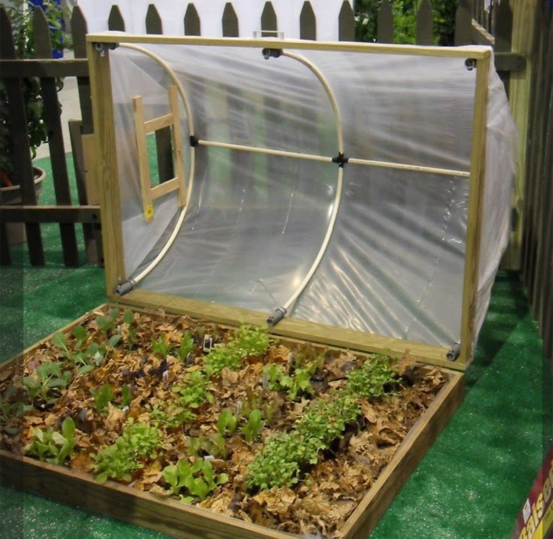Moestuin bakken / palletranden