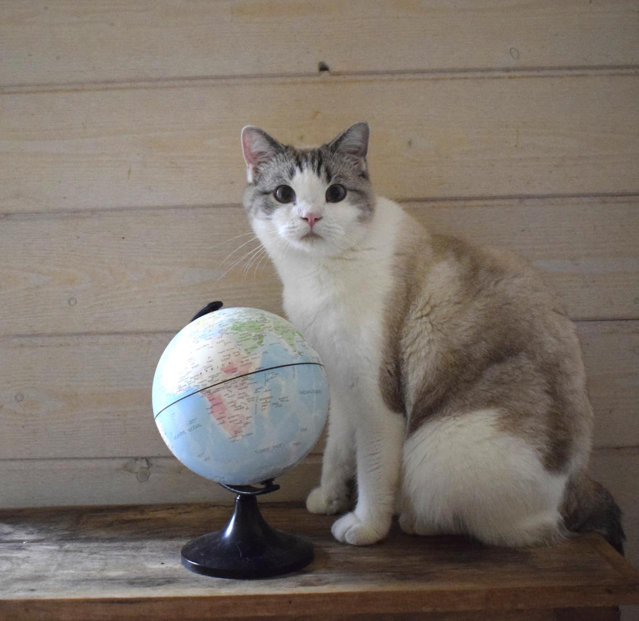 Tesoro zoekt 3 sterren thuis