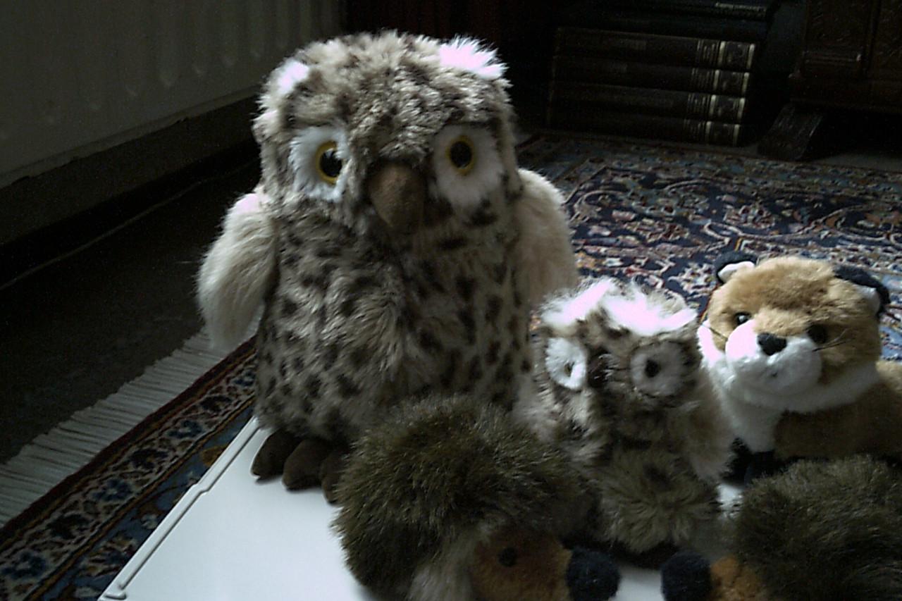 Set van VIJF nieuwe knuffels ...