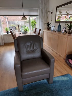 2 lederen fauteuils
