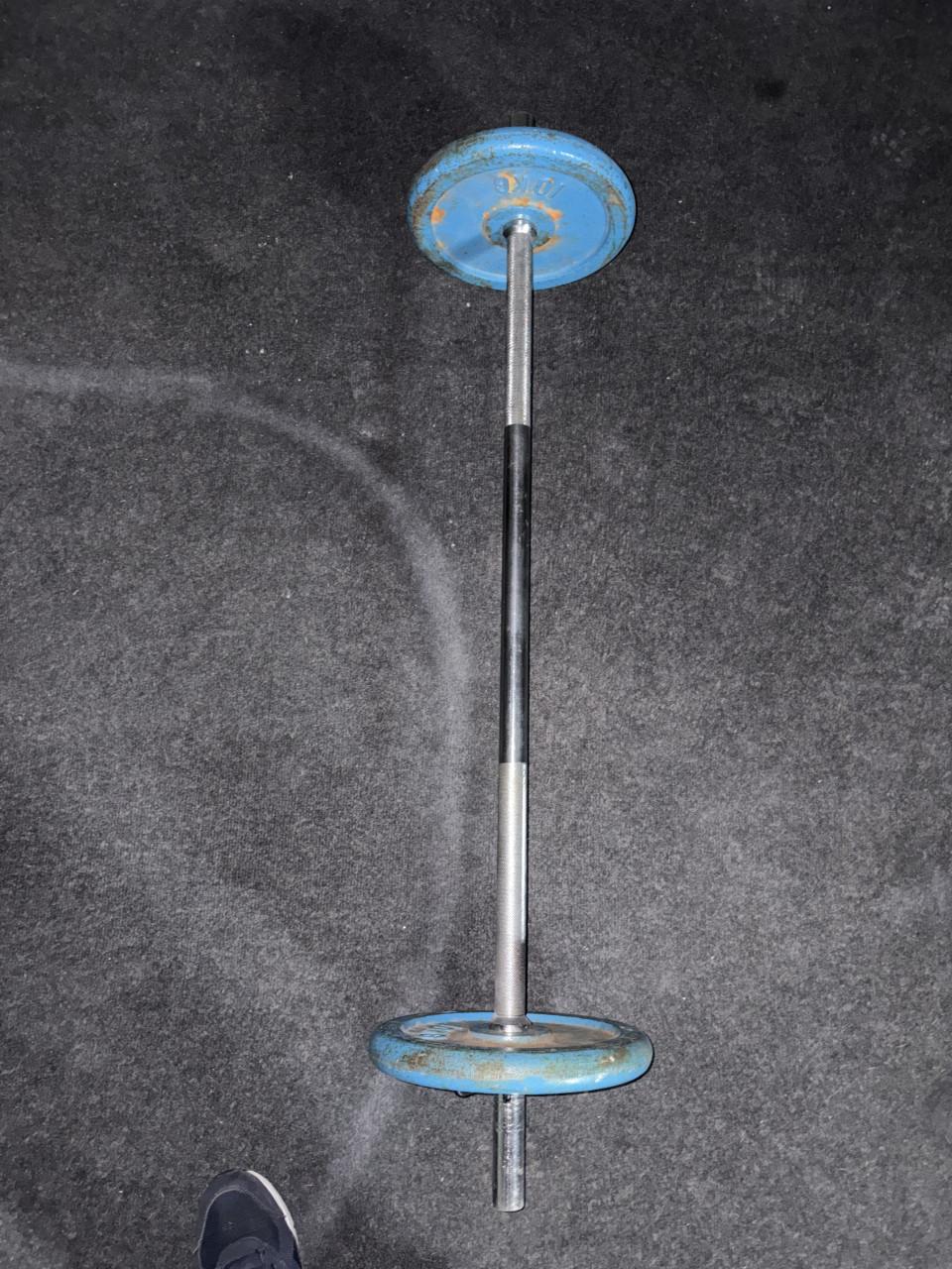 Halterstang met schijven