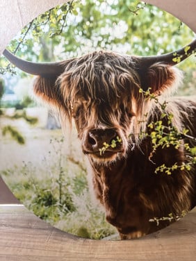 Seemly muurcirkel Highlander