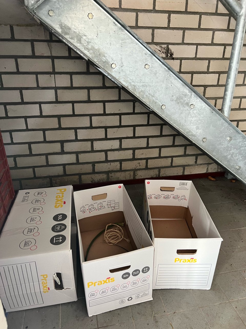 Verhuisdozen