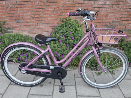ALPINA | MOOD | 24 INCH | 38 CM | NEXUS 3 | NETTE STAAT!