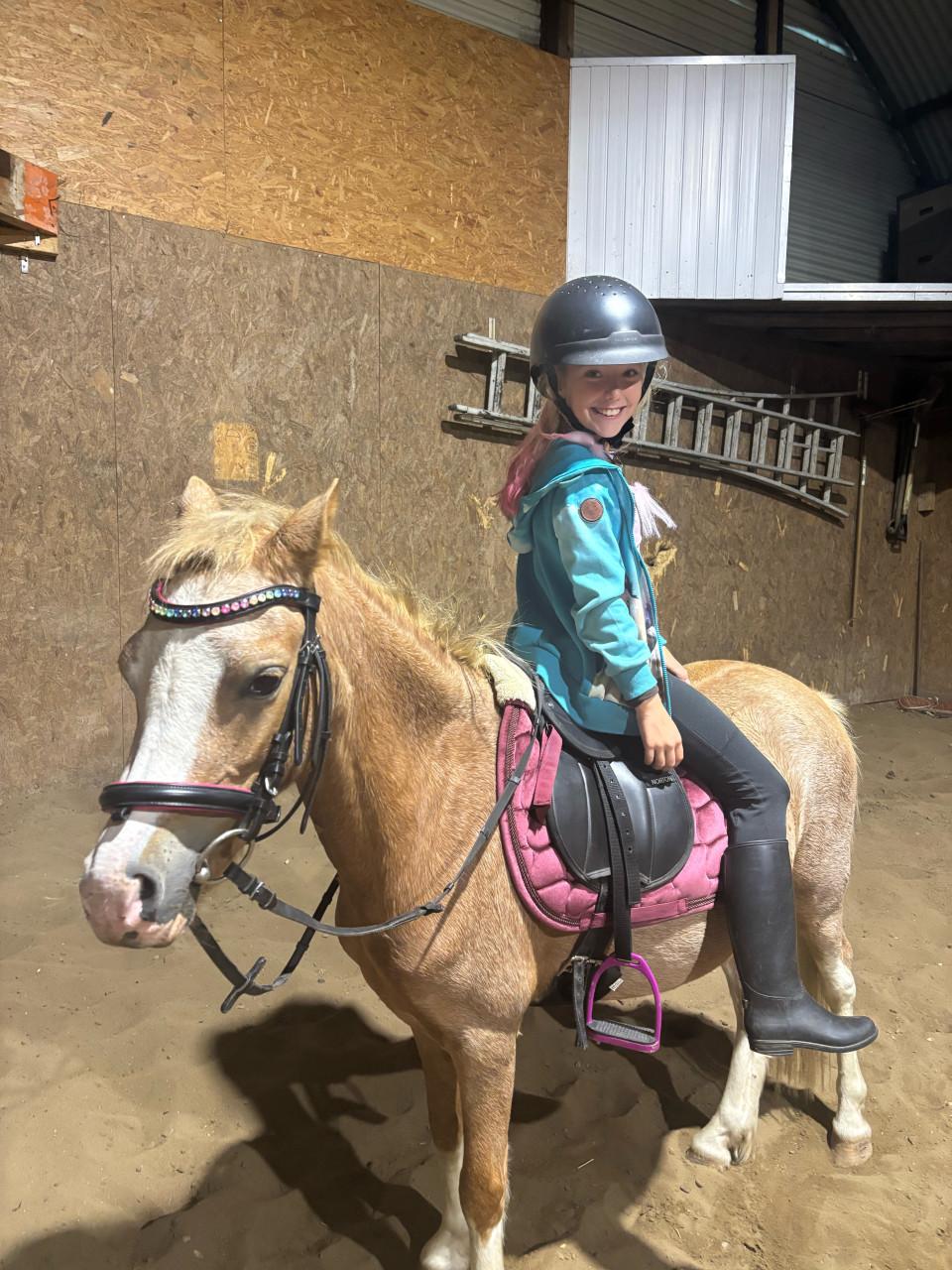 Welsh pony met veulen