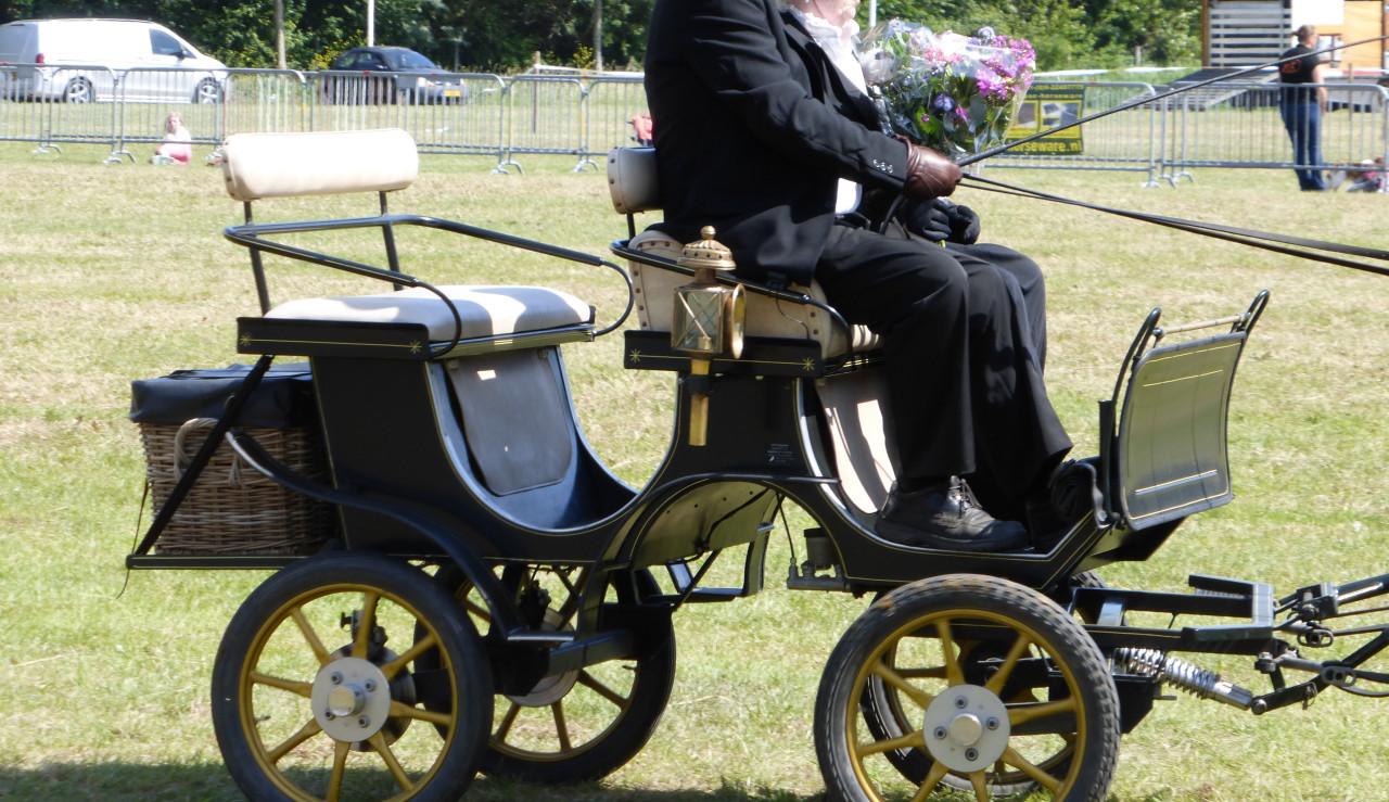 Pony menwagen / recreatie wagen type jachtwagen te koop