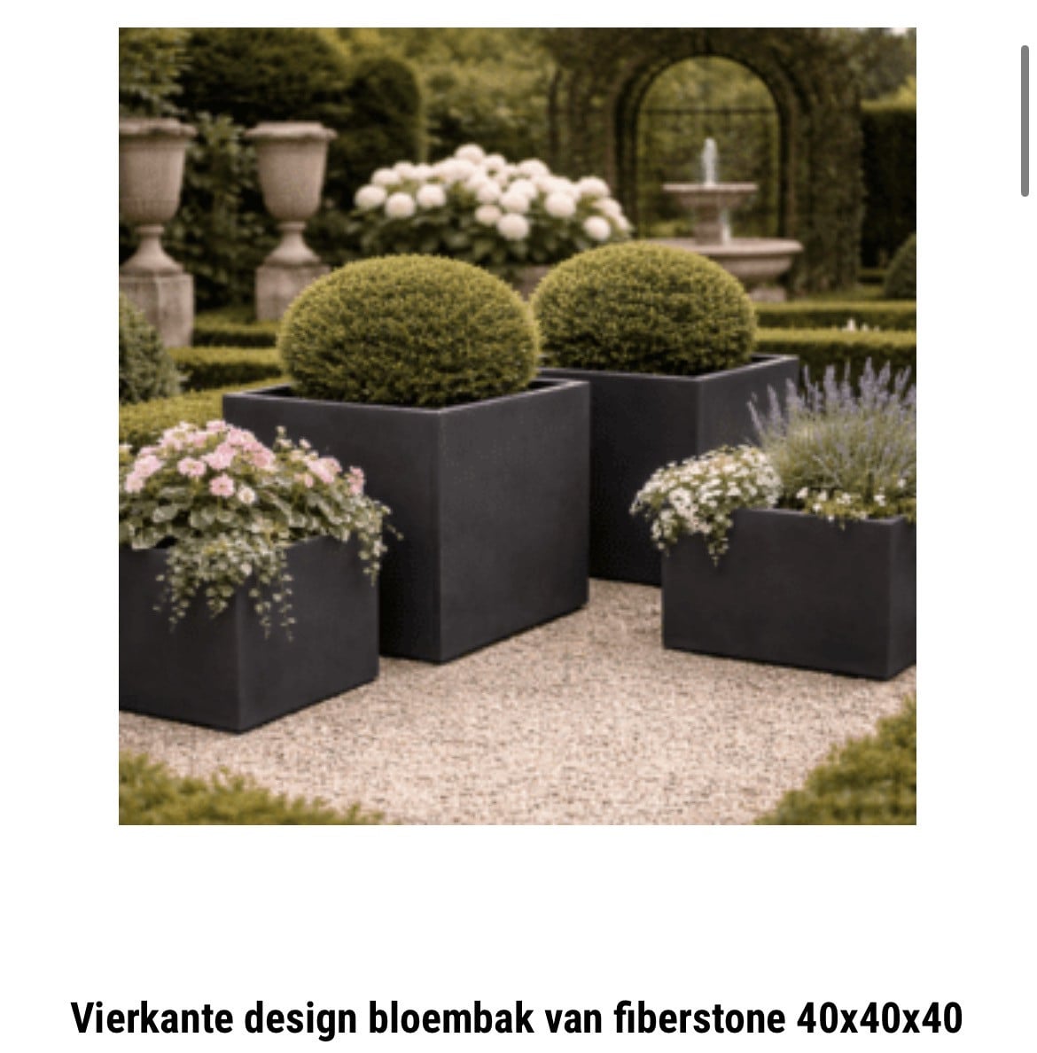 Ronde plantenbakken juni sale