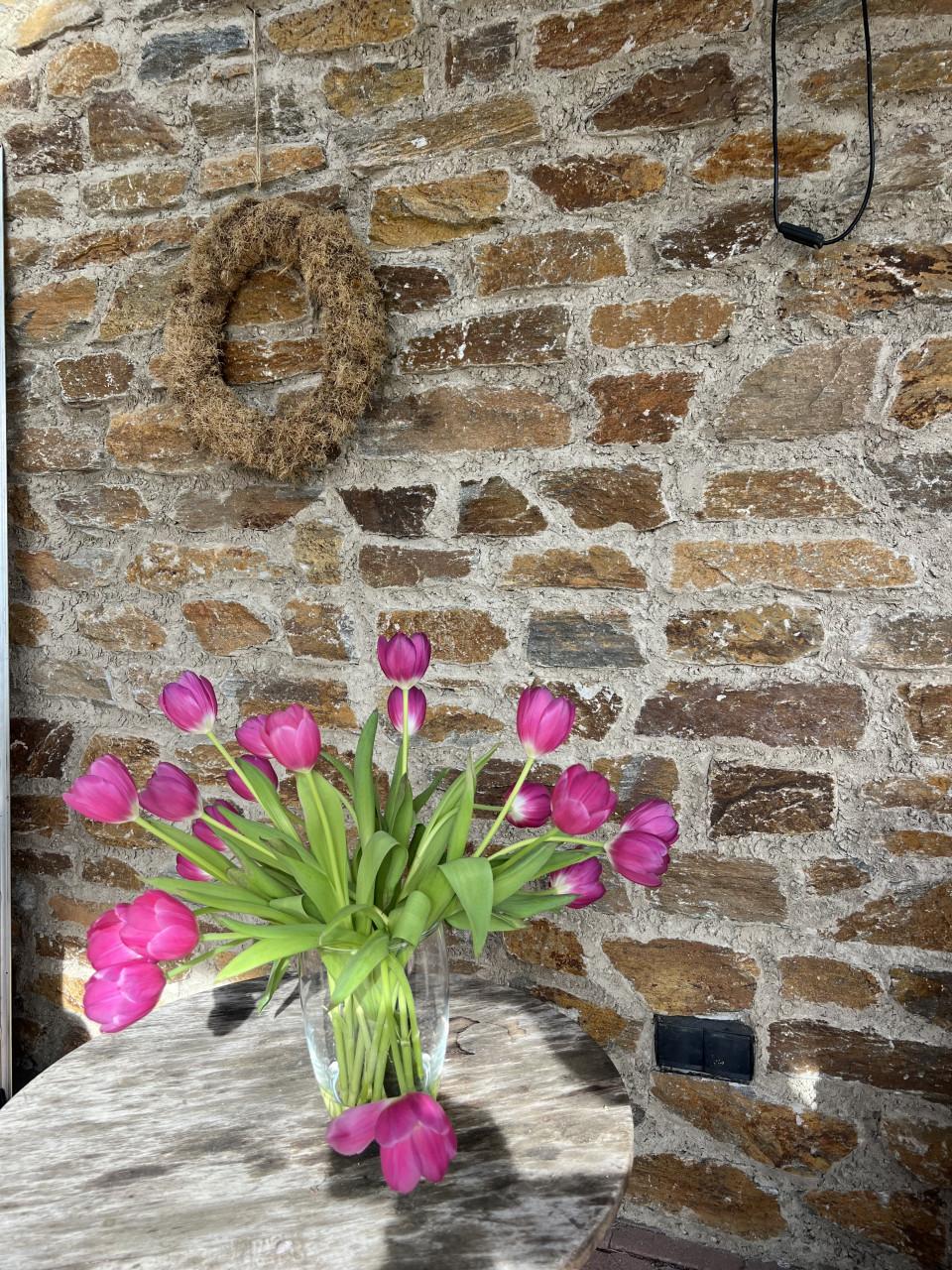 Krat Zuid-Europese natuursteenstrips