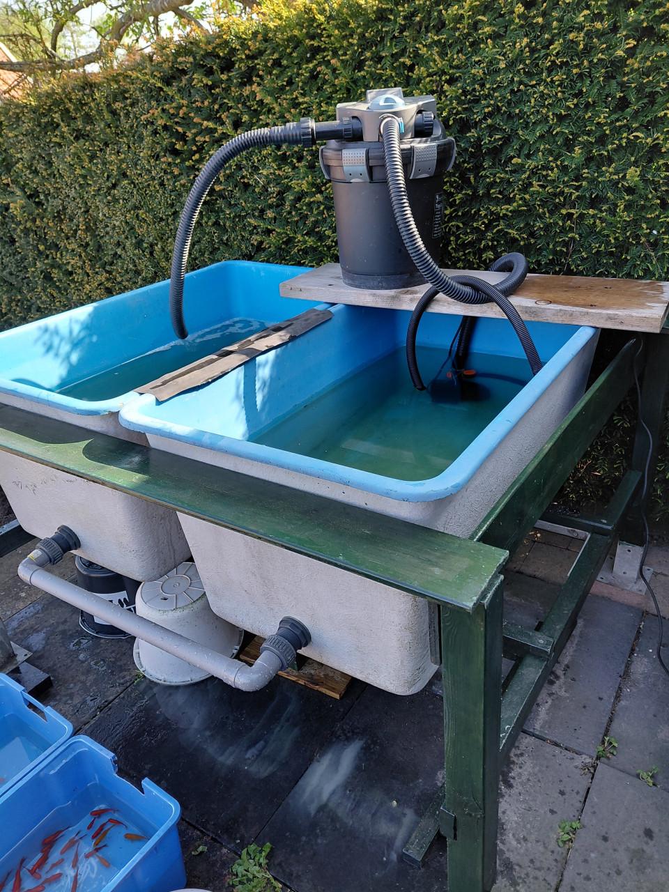 Quarantainebakken met filter en vijverpomp