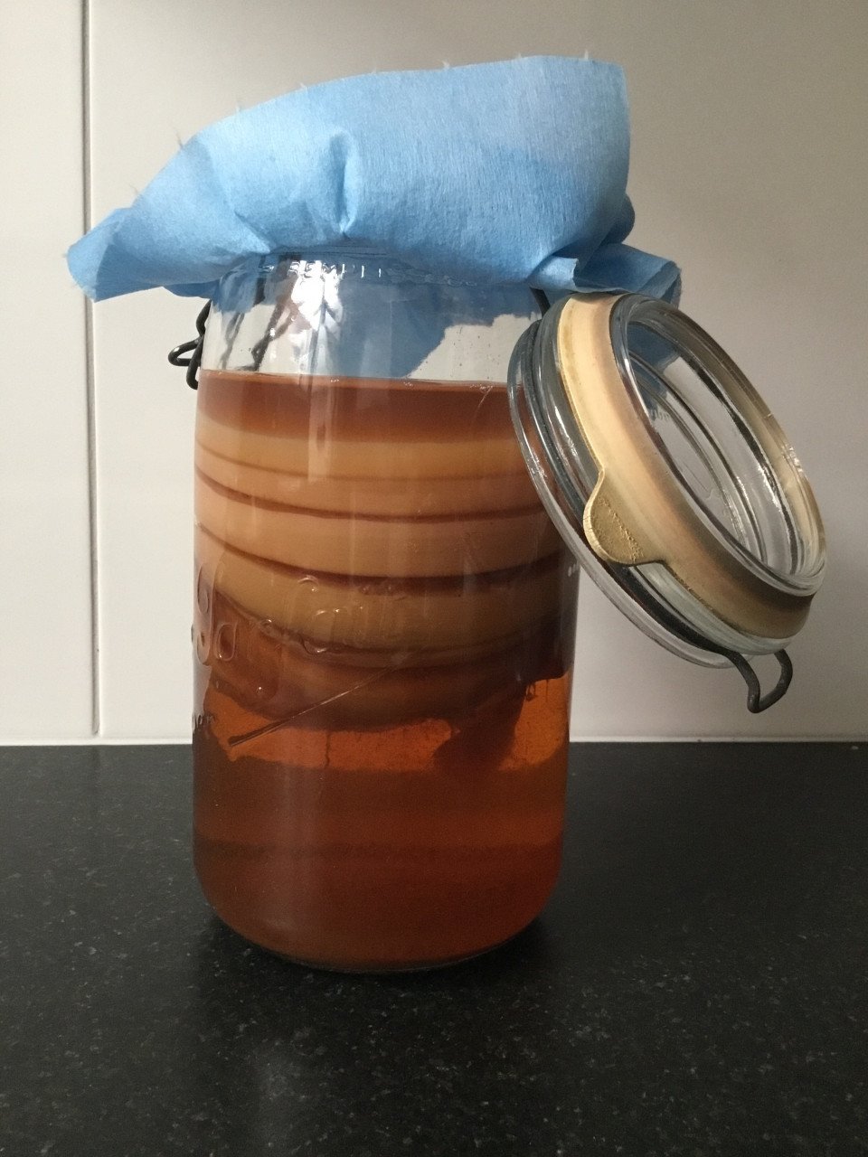 Kombucha scoby’s/zwammen