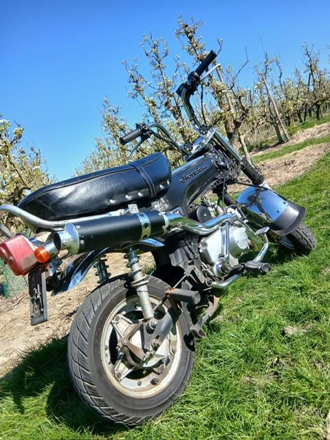 Te koop, stoere brommer Honda Dax