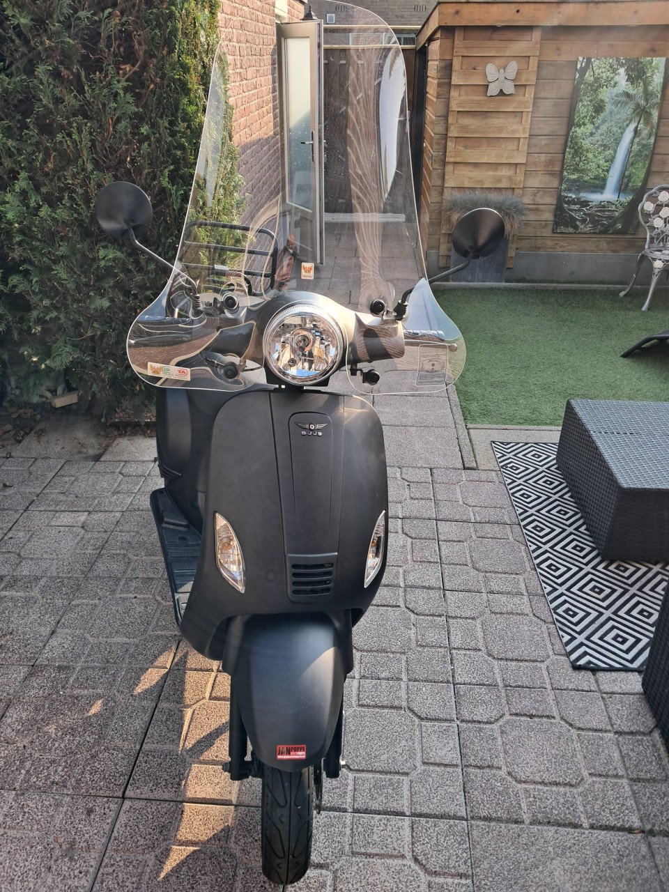 Scooter Cashmere