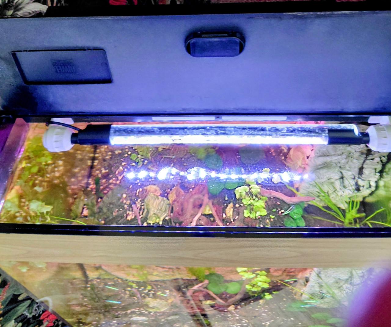Juwel aquarium compleet