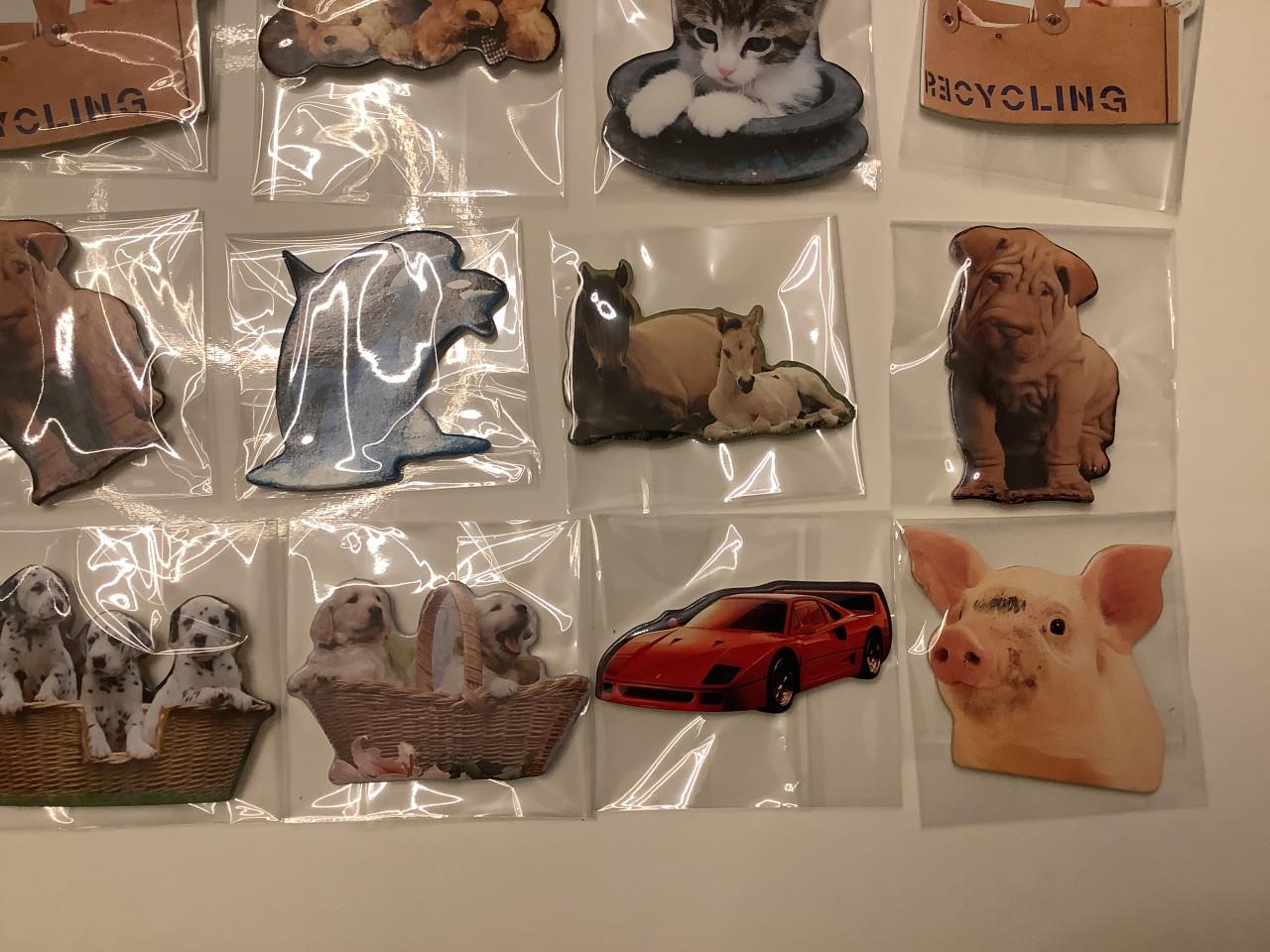 Partij super leuke magneetjes. ( partij 22)