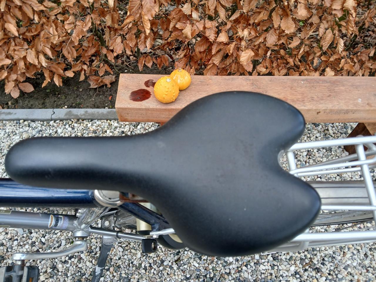 Herenfiets Batavus intermezzo