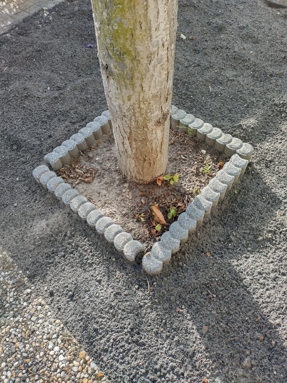 16 mini rondobanden 6x25x50 cm