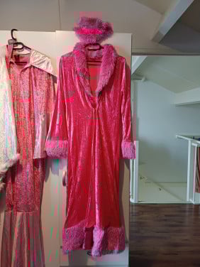 Rose verkleedkleding p/st of 1 koop
