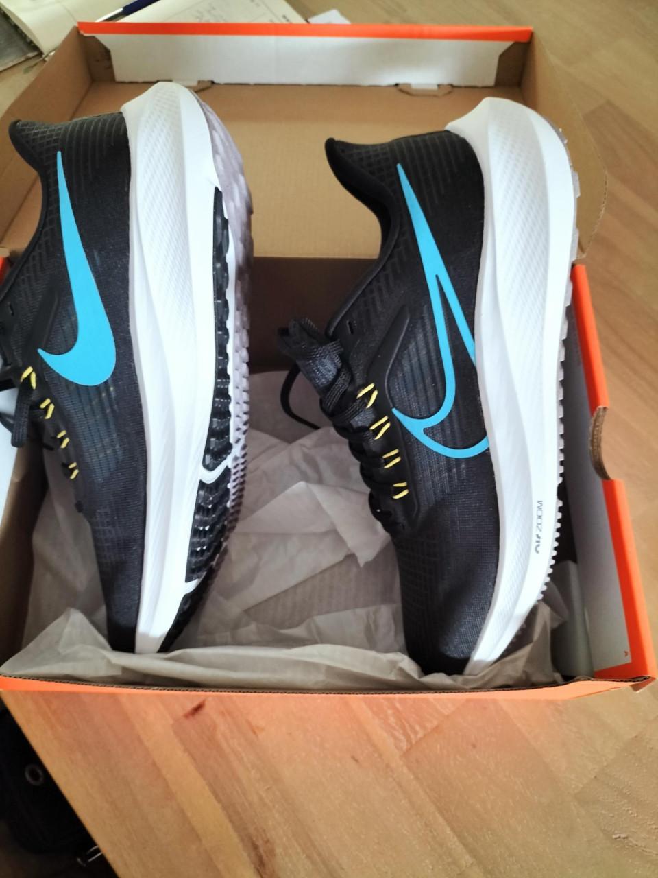 Nike Running schoenen heren