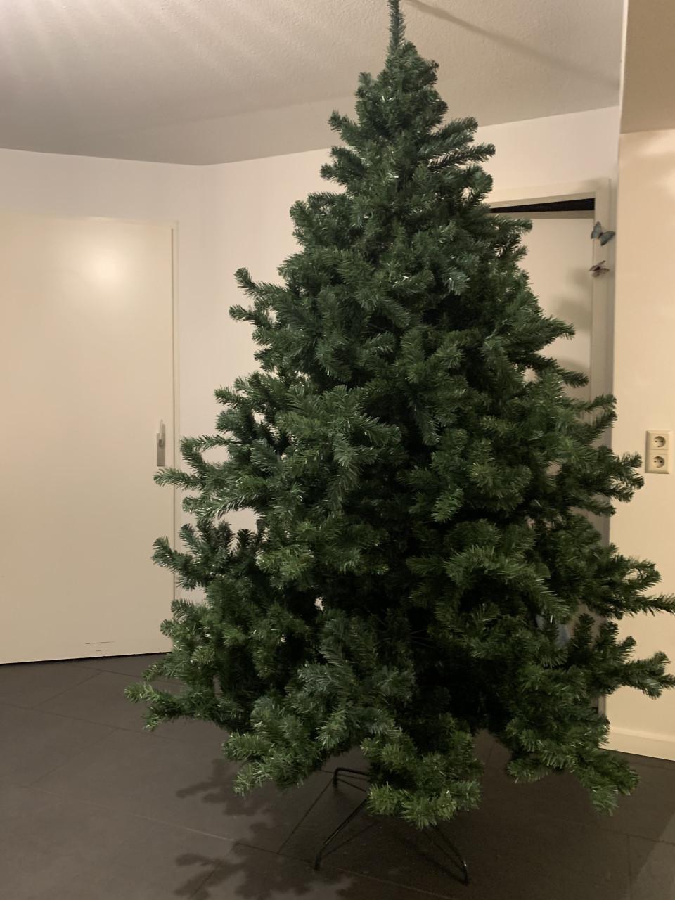 Kerstboom 2.40  m hoog  1.45 m breed