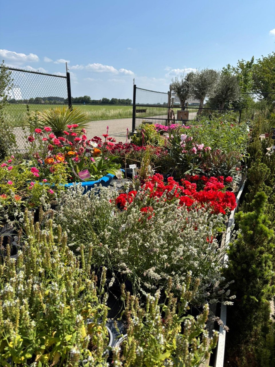 AANGEPASTE OPENINGSTIJDEN + zomerkorting -30 %