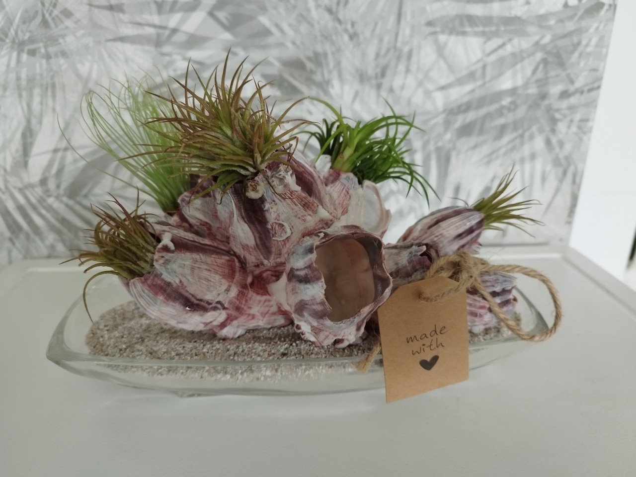 Plant kado zeepok